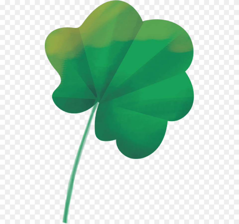 Mallow Illustration Haviva Seligson Flag, Green, Leaf, Plant, Animal Free Transparent Png