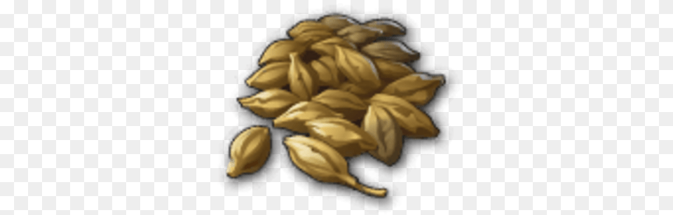 Malt Seed, Food, Produce Free Png Download
