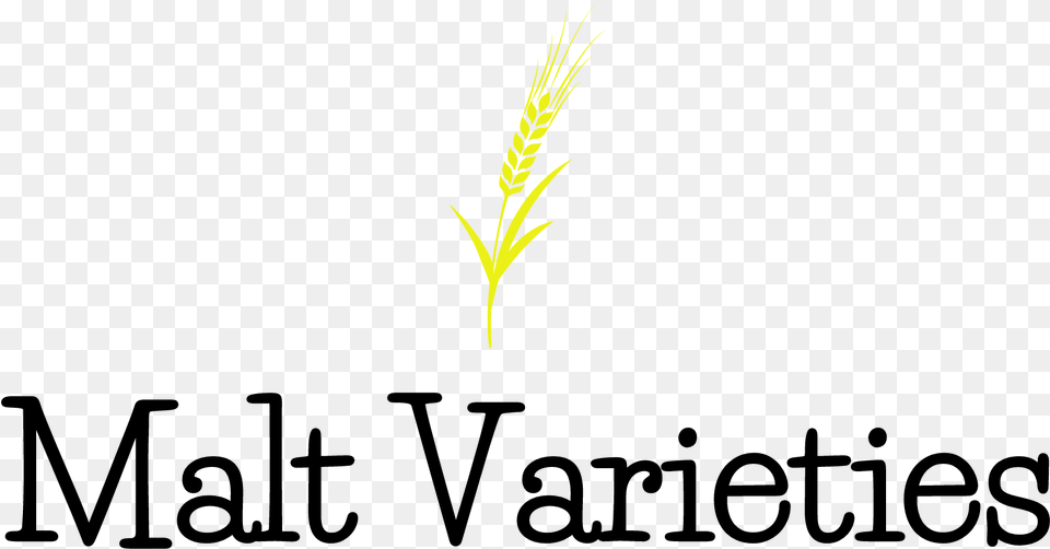 Malt The Brew Enthusiast Vertical, Grass, Plant, Food, Grain Png