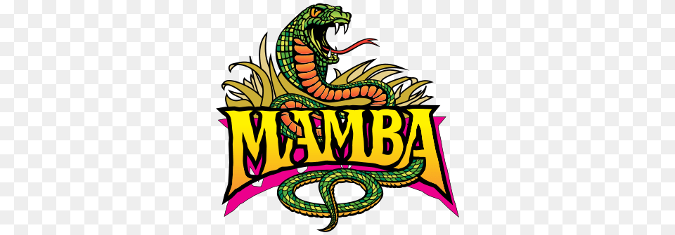 Mamba, Animal, Reptile, Snake, Dragon Png Image