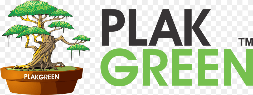 Mame Jade Plant Csp0005 U2013 Plakgreen Cartoon Magic Tree, Potted Plant, Green, Vegetation, Bonsai Png Image