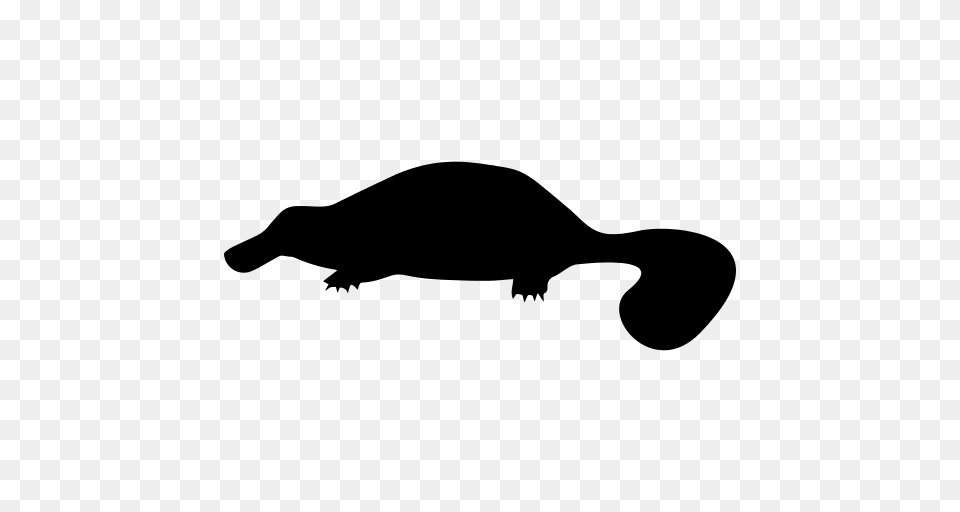Mammal Animal Shape Of A Platypus Icon, Gray Png