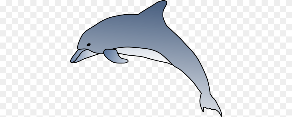 Mammal Clipart Bottlenose Dolphin, Animal, Sea Life, Fish, Shark Png Image