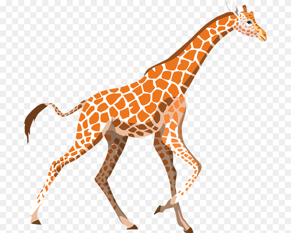 Mammal Clipart Giraffe Jirafas Cartoon Wild Animal, Wildlife Free Png