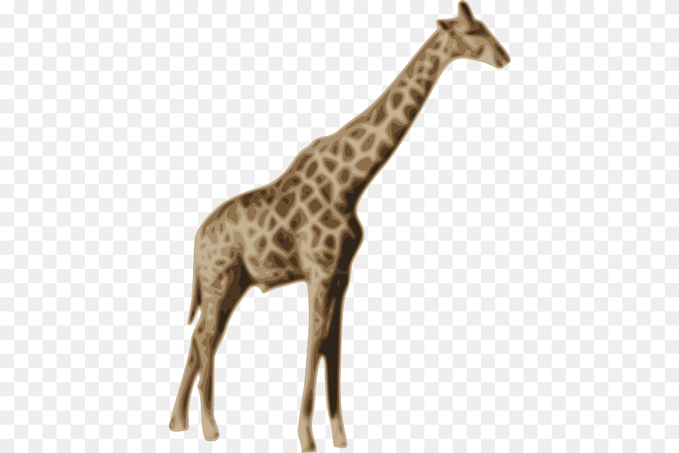 Mammal Clipart Zoo Animal Animals Giraffe, Wildlife, Kangaroo Free Png