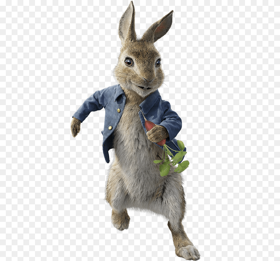 Mammalrabbitrabbits And Haresharedomestic Rabbitwood Peter Rabbit 2018 Characters, Animal, Mammal, Kangaroo Free Png Download
