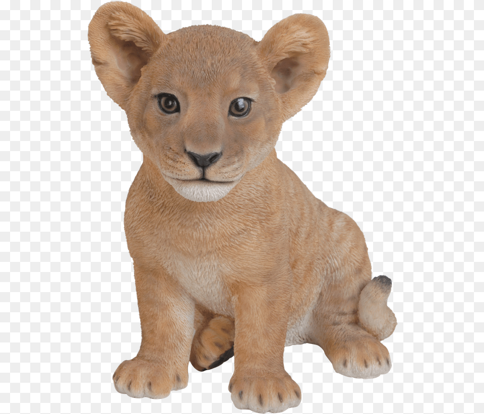 Mammalvertebrateanimal Lion With Cubs, Animal, Mammal, Wildlife Free Png