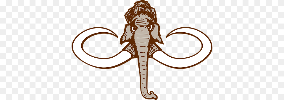 Mammoth Person, Face, Head, Animal Png