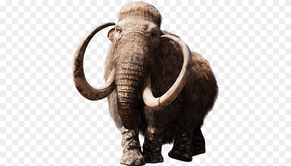 Mammoth, Animal, Elephant, Mammal, Wildlife Png Image