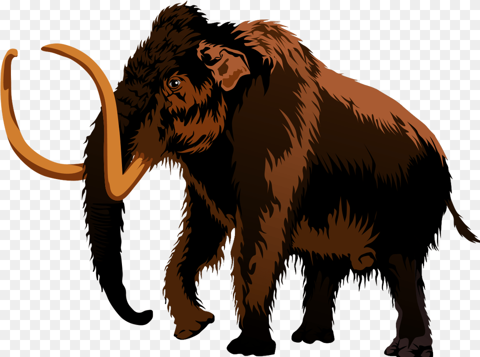 Mammoth Clip Art Amp Mammoth, Wildlife, Animal, Lion, Mammal Png Image