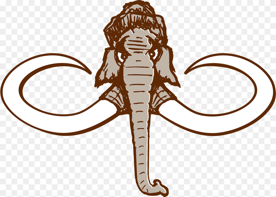 Mammoth Clipart, Baby, Person, Face, Head Png