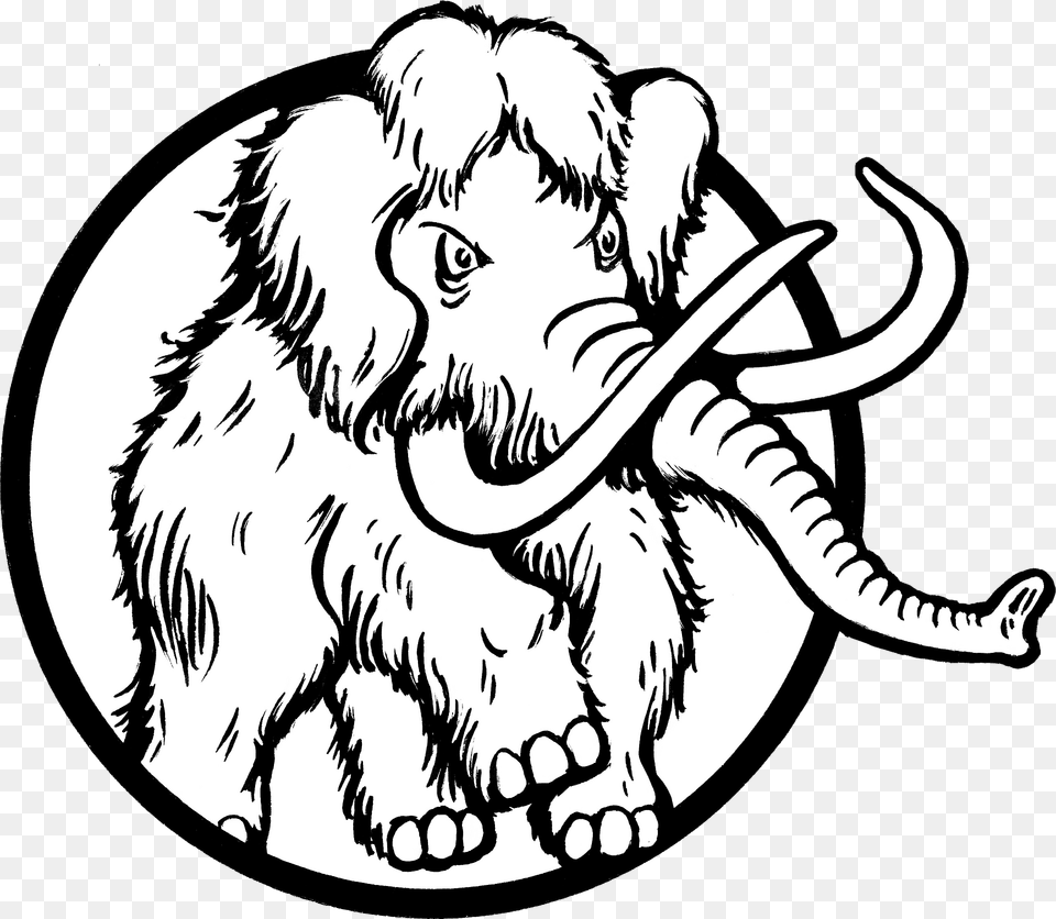 Mammoth Clipart, Baby, Person, Face, Head Png Image