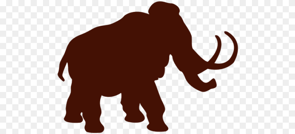 Mammoth Clipart Ivory Silueta De Dinosaurio En Svg, Baby, Person, Animal, Wildlife Png