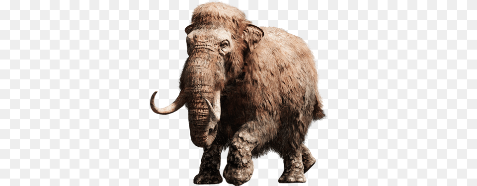 Mammoth Far Cry Primal, Animal, Elephant, Mammal, Wildlife Free Png Download