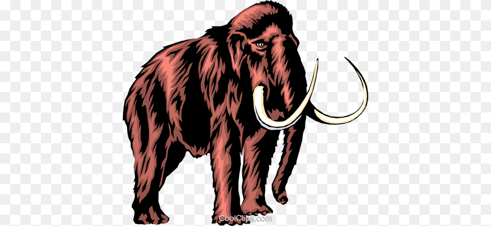 Mammoth Royalty Vector Clip Art Illustration, Animal, Mammal, Wildlife, Elephant Free Png Download