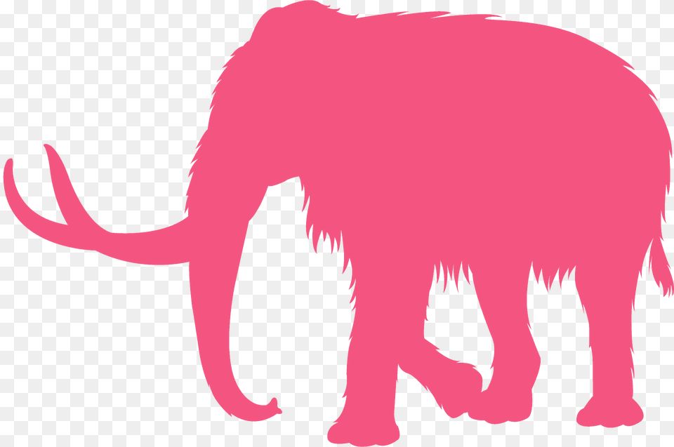 Mammoth Silhouette, Animal, Bear, Elephant, Mammal Png Image