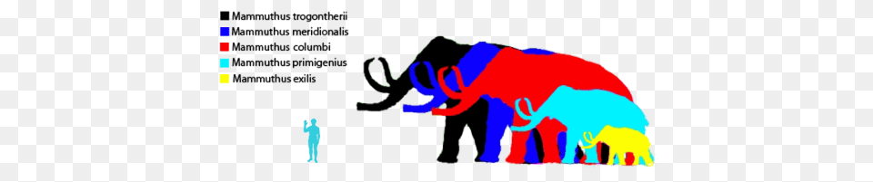 Mammoth Size Comparison, Art, Animal, Elephant, Mammal Free Transparent Png