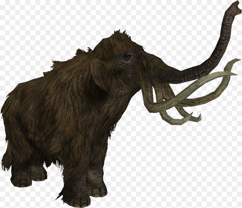 Mammoth Skyrim Wiki Skyrim Mammoth, Animal, Dinosaur, Reptile, Mammal Png Image