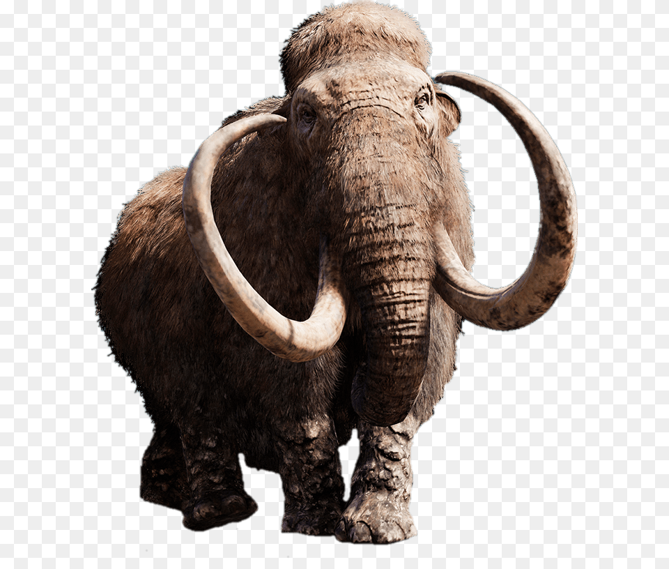 Mammoth With Giant Tusks, Animal, Elephant, Mammal, Wildlife Free Png