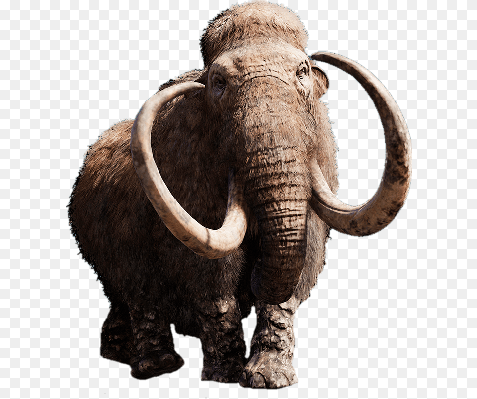 Mammoth With Giant Tusks Mammoth, Animal, Elephant, Mammal, Wildlife Free Transparent Png