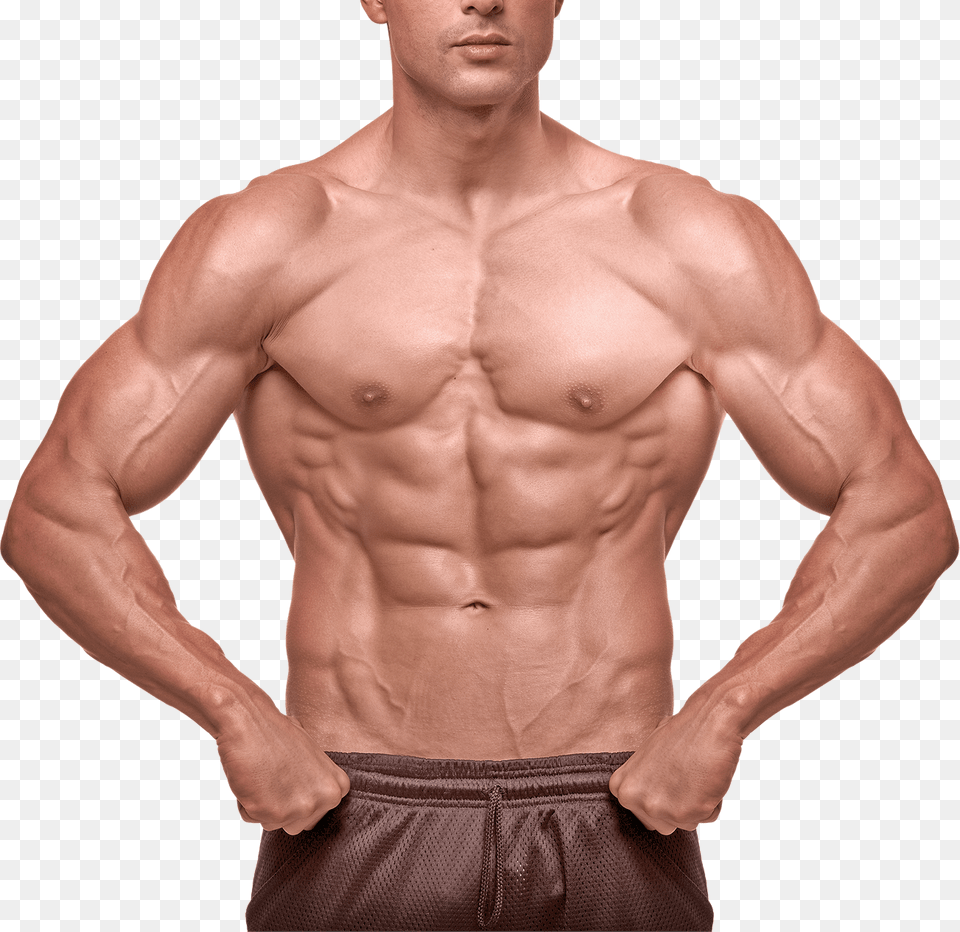 Man, Adult, Male, Person, Back Png Image