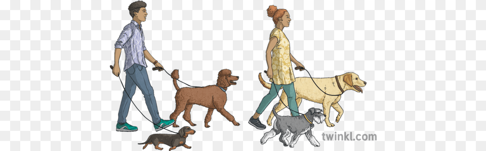 Man And Woman Walking Dogs Animals People Ni Linguistic Leash, Boy, Teen, Person, Male Free Png Download