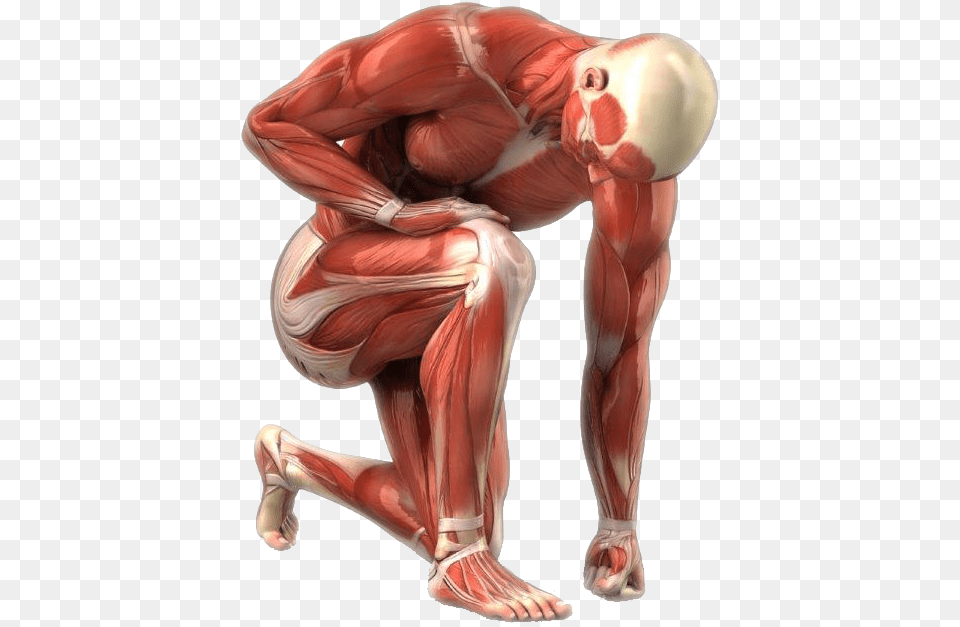 Man Clear Sports Massage, Adult, Female, Person, Woman Free Png