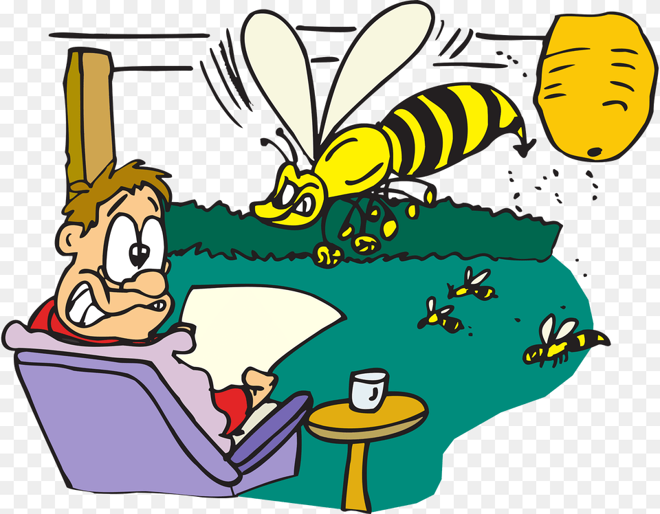 Man Clipart, Animal, Invertebrate, Insect, Wasp Free Png