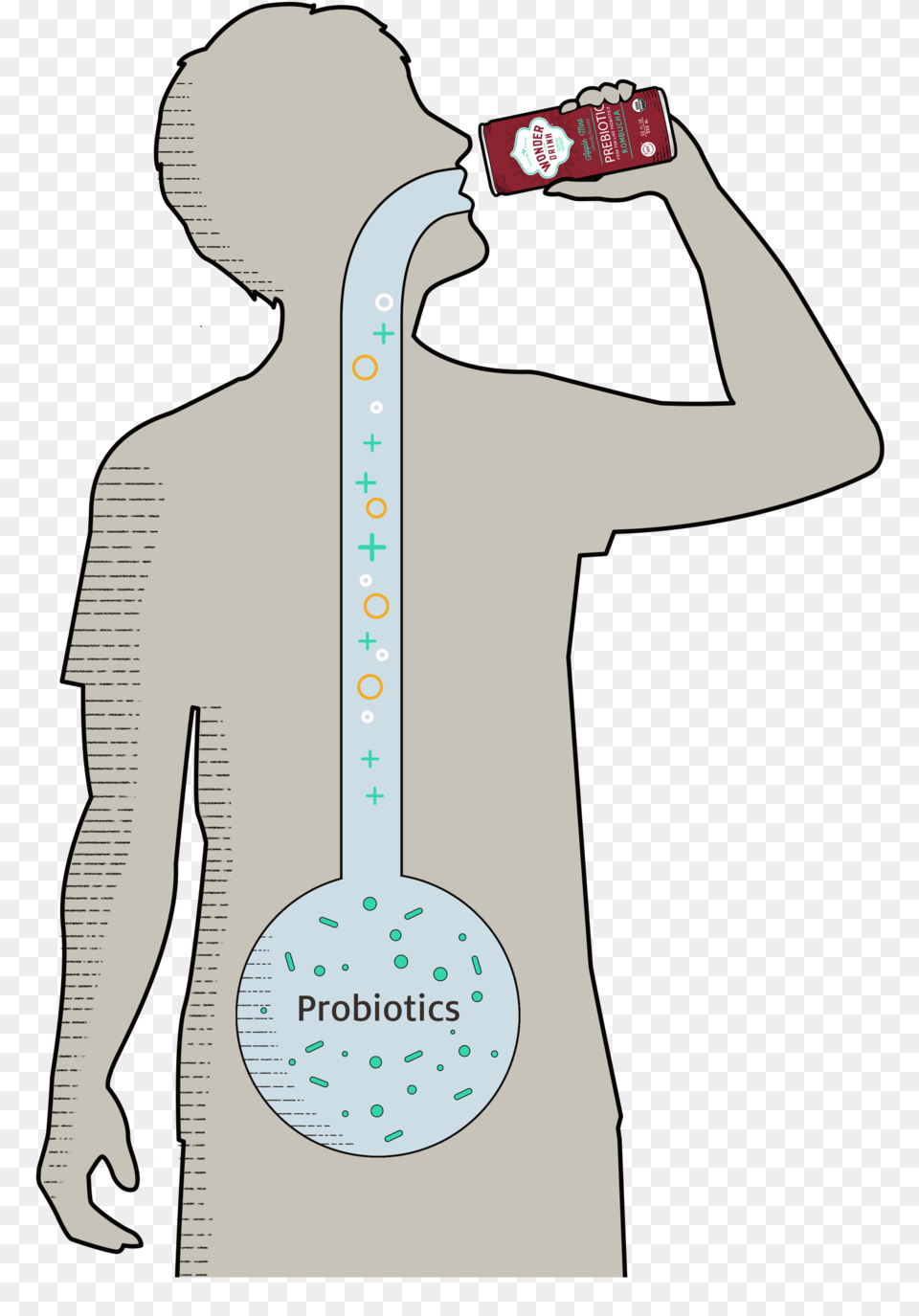 Man Drinking Can V2 Ce Man, Chart, Cutlery, Spoon, Plot Free Png