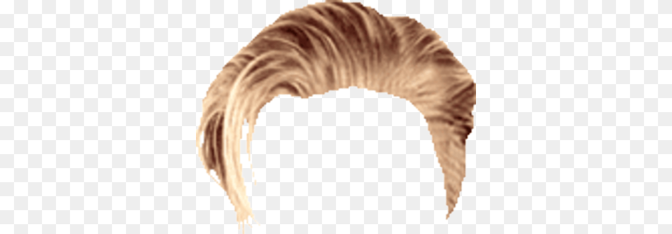 Man Hair Files 8 Hair Stock Psd Hair Man Psd, Person, Head, Face Free Png