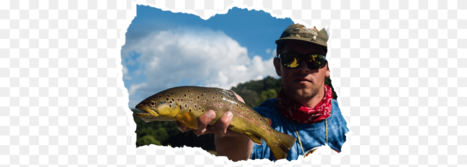 Man Holding A Fish Man, Trout, Animal, Sea Life, Person Png