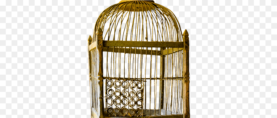 Man In A Golden Cage Vintage Cage, Gate Png Image
