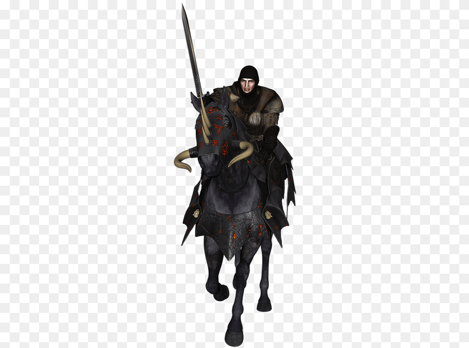Man Knight Horse Find Steed, Adult, Male, Person, Animal Png