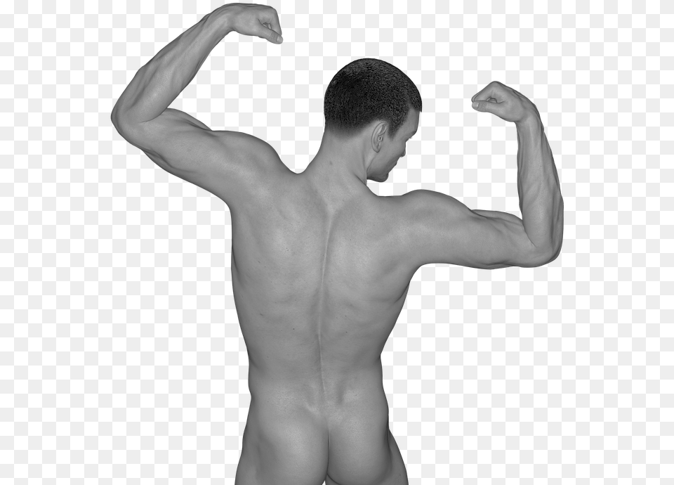 Man Muscles Act Naked Erotic Sexy Figure Niveis De Dos Seres Vivos, Hand, Back, Body Part, Person Png Image