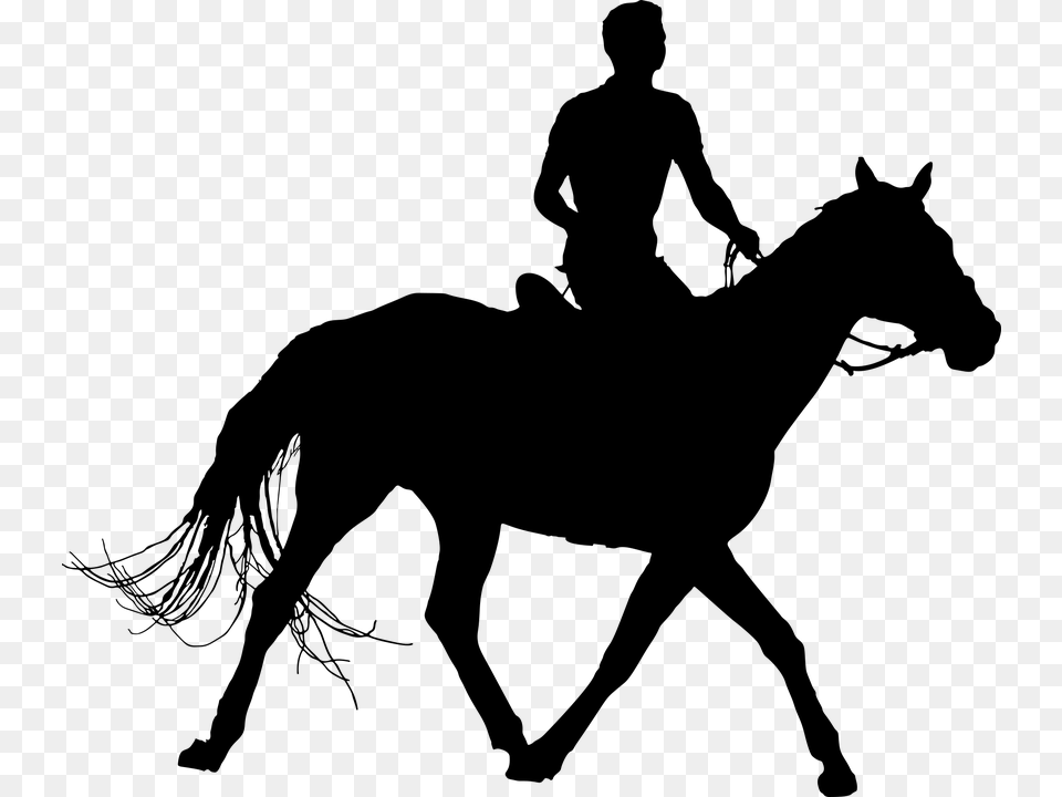 Man On Horse Silhouette, Gray Free Png Download