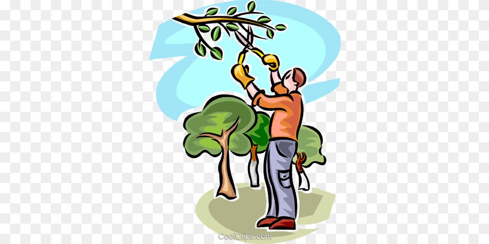 Man Pruning A Tree Royalty Vector Clip Art Illustration, Nature, Garden, Outdoors, Gardener Png Image