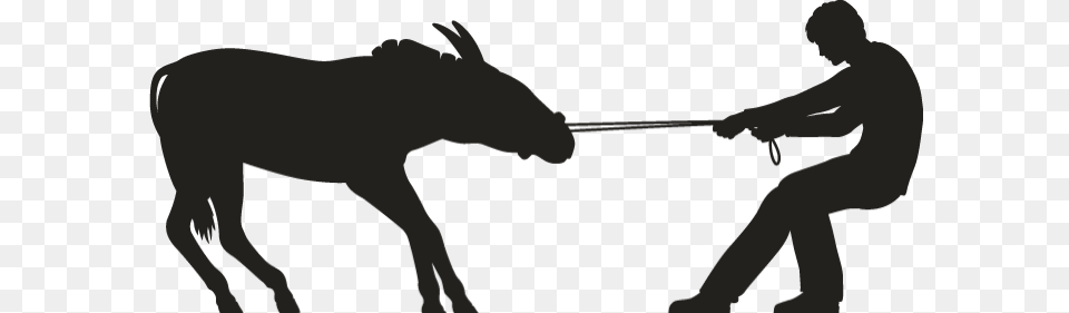 Man Pulling A Stubborn Mule Silhouette, Adult, Person, Male, Mammal Free Png