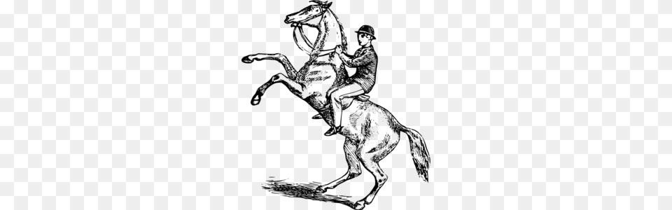 Man Riding A Rearing Horse Clip Art, Gray Png Image