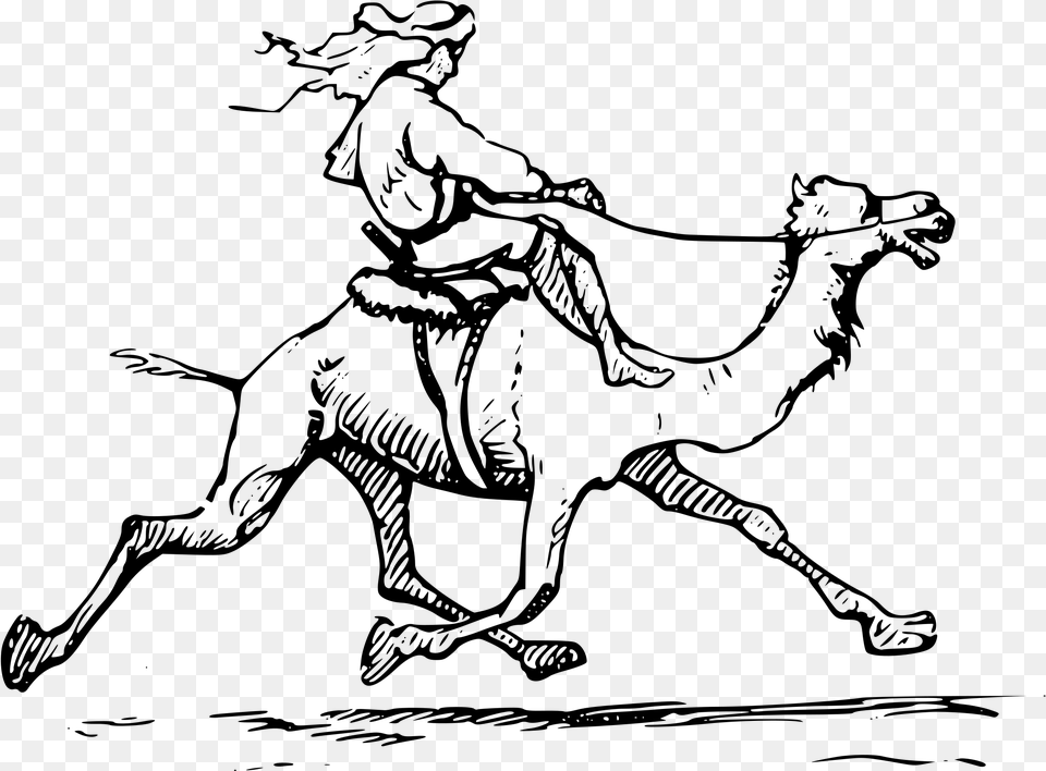 Man Riding Camel Clip Arts Ride A Camel Clipart, Gray Free Png Download