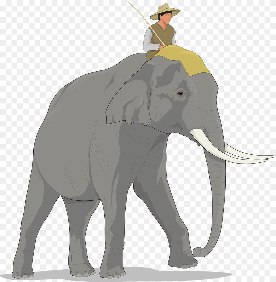 Man Riding Elephant Clipart, Wildlife, Animal, Mammal, Person Free Transparent Png