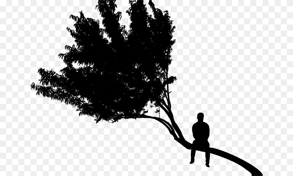 Man Sitting On Tree Silhouette, Gray Free Transparent Png