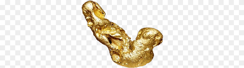 Man Smuggles 22 Hunks Gold Nugget, Animal, Reptile, Snake, Rock Png