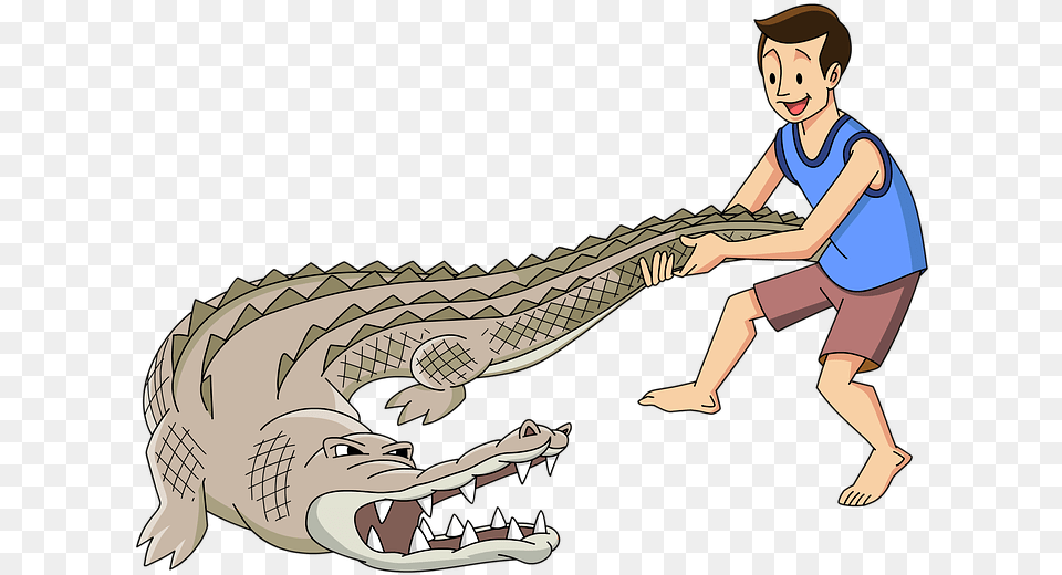 Man Wrestle Crocodile Alligator Strong Male Young Alligator Wrestling, Adult, Female, Person, Woman Png