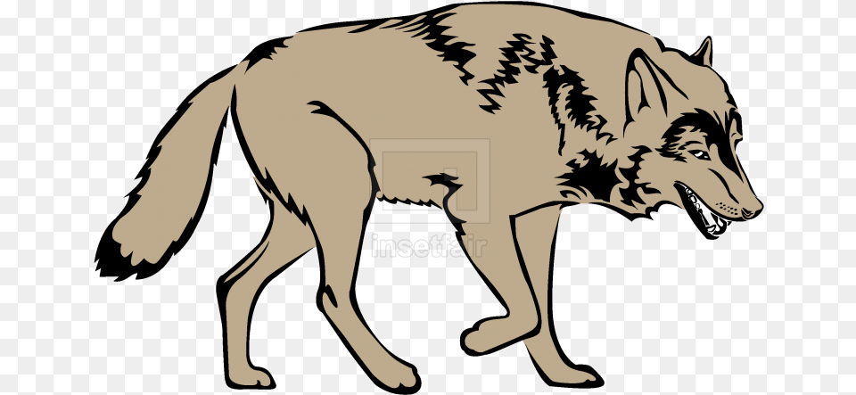 Manage Search Illustration, Animal, Coyote, Mammal, Baby Free Png