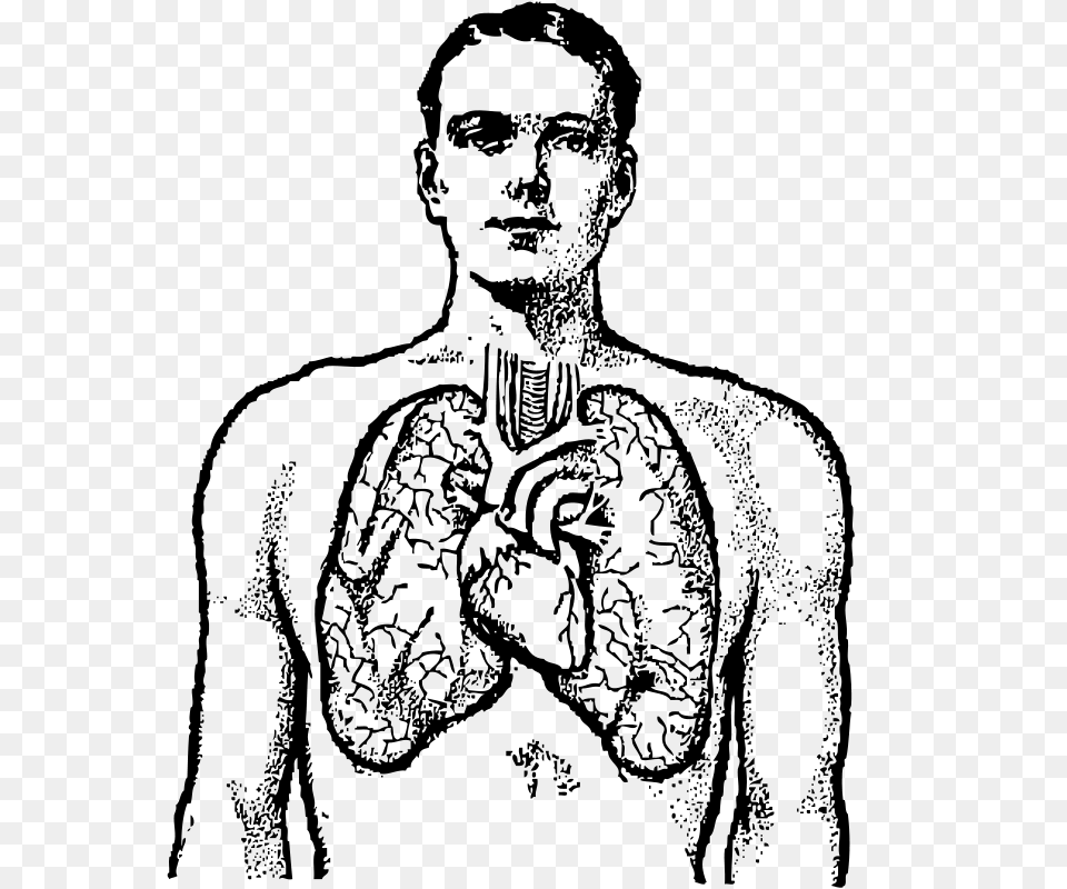 Manandlungs, Gray Png