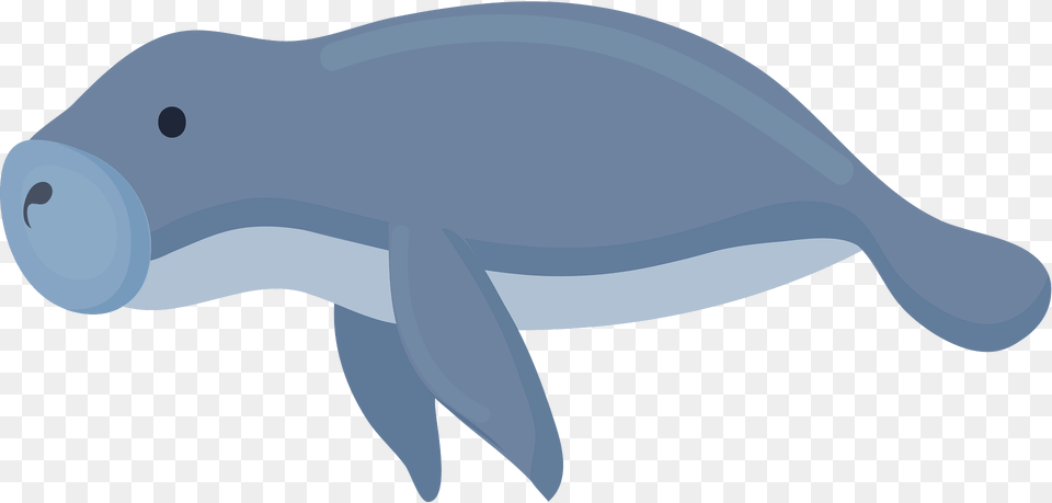 Manatee Clipart, Animal, Mammal, Fish, Sea Life Png Image