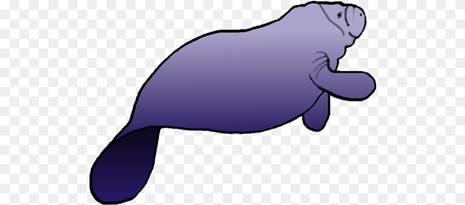 Manatee Clipart, Animal, Mammal, Adult, Female Free Png Download
