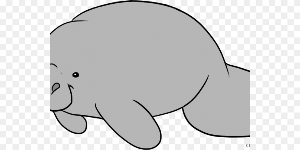 Manatee Clipart, Animal, Mammal, Baby, Person Free Transparent Png