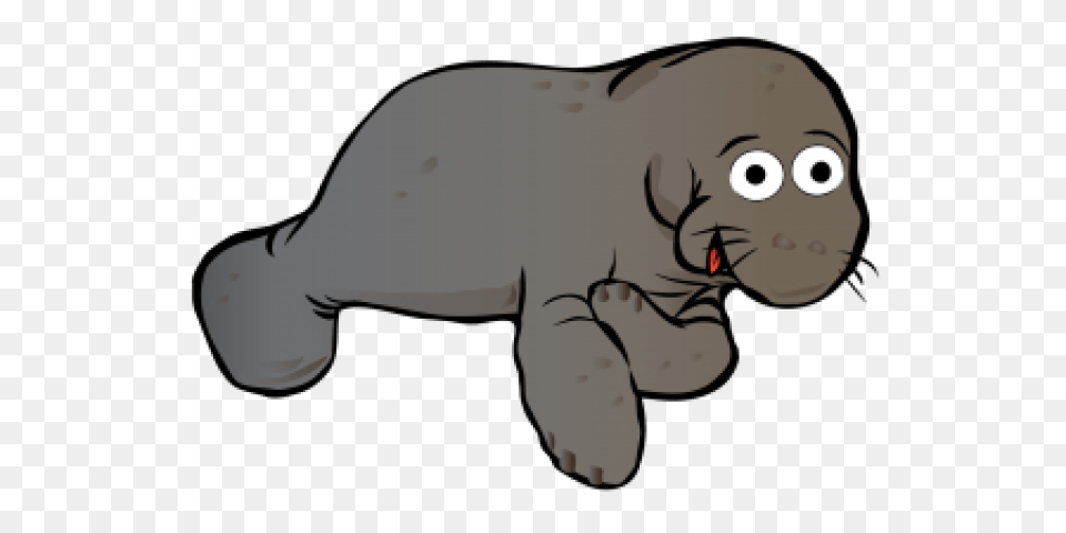 Manatee Clipart, Baby, Person, Animal, Mammal Png
