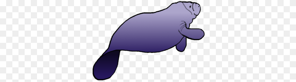 Manatee Clipart, Animal, Mammal, Baby, Person Free Png Download